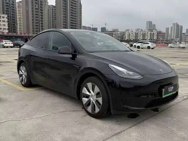 Tesla Model Y Model Y 2022 Rear-Wheel Drive Version — фото