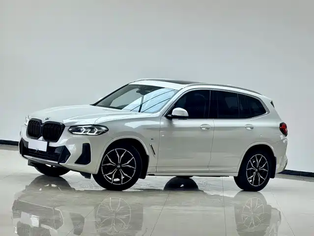 Bmw Bmw X3 Bmw X3 2022 Xdrive25i M Sports Package — фото