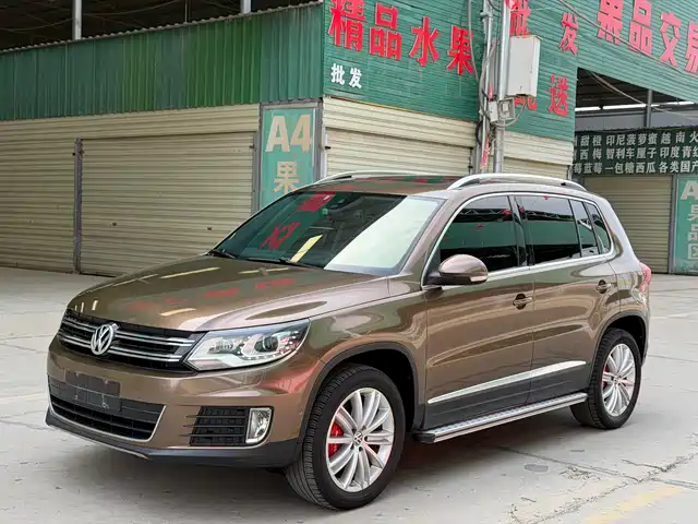 Volkswagen Tiguan Tiguan 2013 2.0tsi Automatic Four-Wheel Drive Flagship Version