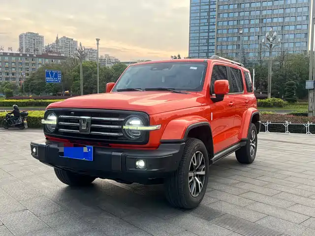 Tank Tank 300 Tank 300 2021 City Edition 2.0t Very Stylish