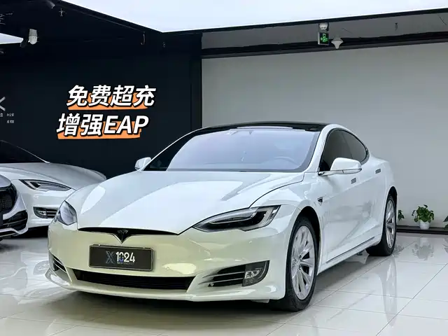 Tesla Model S Model S 2017 Model S 75d Standard Range Edition — фото