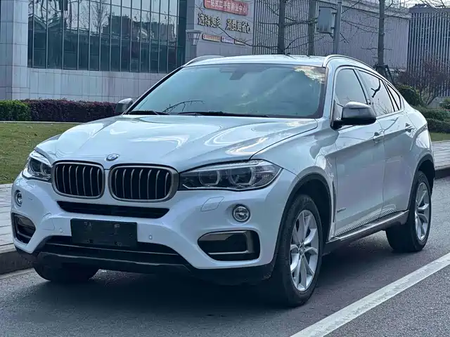 Bmw Bmw X6 Bmw X6 2017 Xdrive35i Leading Model — фото