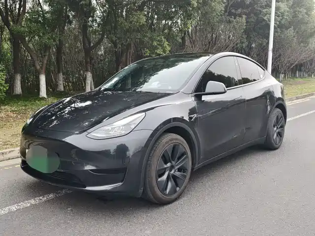 Tesla Model Y Model Y 2024 Rear-Wheel Drive Version — фото