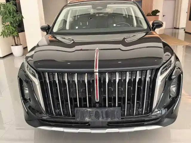 Red Flag Hongqi Hs7 Phev Hongqi Hs7 Phev 2024 2.0t Phev Four-Wheel Drive Qichang Version 6 Seats — фото
