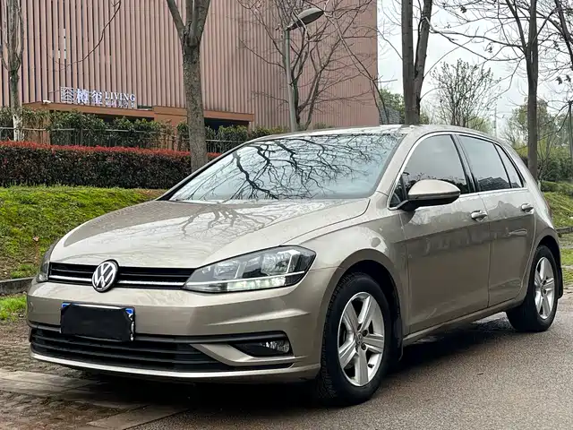 Volkswagen Golf Golf 2018 1.6l Automatic Fashion Model