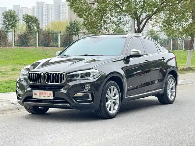 Bmw Bmw X6 Bmw X6 2017 Xdrive35i Leading Model — фото