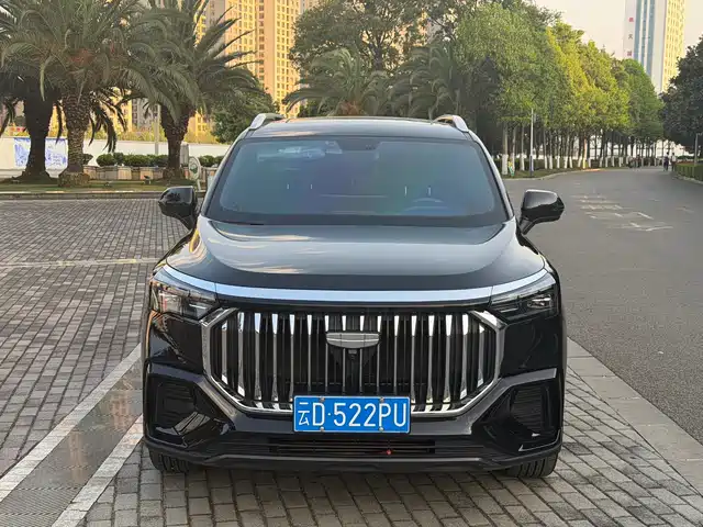 Geely Automobile Haoyue L Haoyue L 2024 2.0t Dct Premium Model