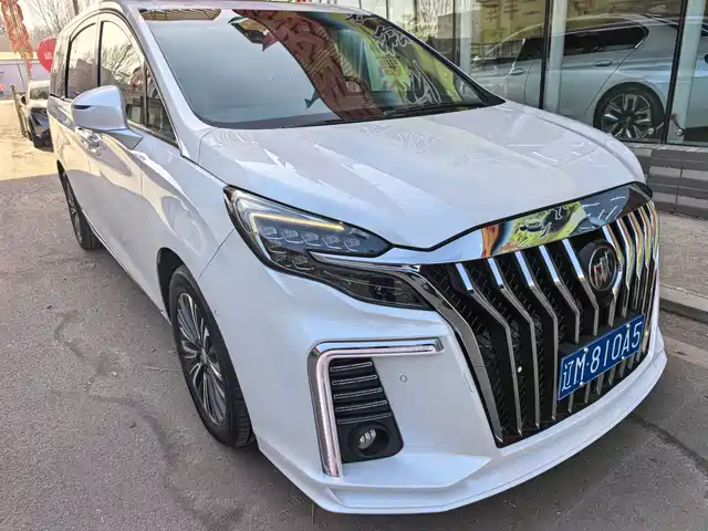 Buick Buick Gl8 Buick Gl8 2020 Es Lu Zun 653t Flagship Model