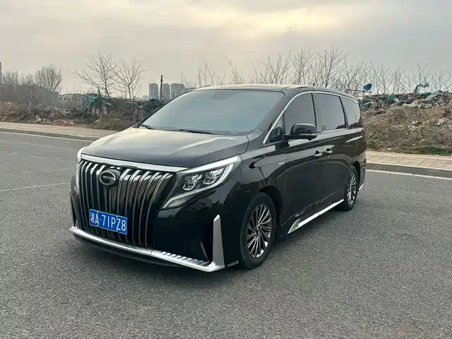 Gac Trumpchi Trumpchi M8 Trumpchi M8 2021 Master Series 390t Extreme Edition — фото