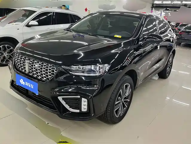 Wei Brand Wei Brand Vv5 Wei Brand Vv5 2021 1.5t Two-Wheel Drive Yanfeng — фото