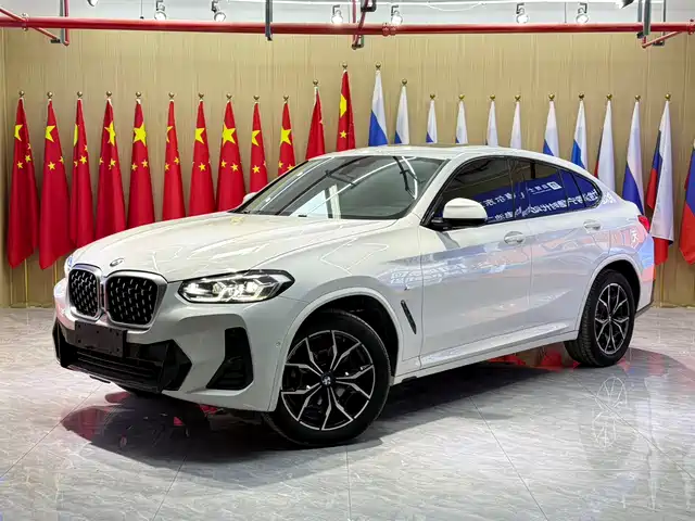 Bmw Bmw X4 Bmw X4 2022 Xdrive 25i M Sports Package — фото