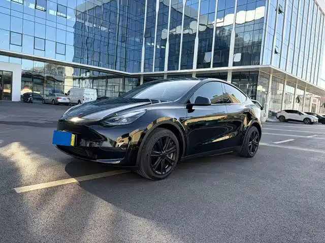 Tesla Model Y Model Y 2022 Facelift, Long-Range All-Wheel Drive Version — фото