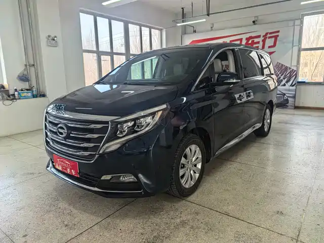 Gac Trumpchi Trumpchi M8 Trumpchi M8 2018 320t Exclusive Edition — фото