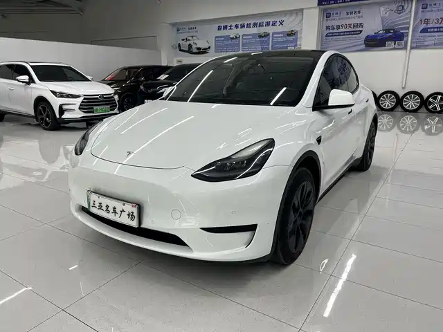 Tesla Model Y Model Y 2023 Rear-Wheel Drive Version — фото