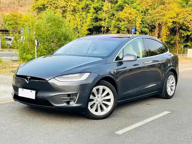 Tesla Model X Model X 2017 Model X 100d Long Range Edition — фото