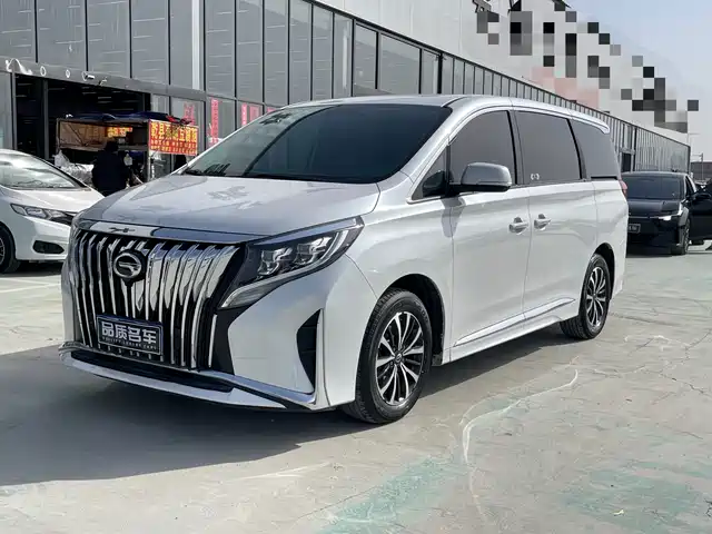 Gac Trumpchi Trumpchi M8 Trumpchi M8 2021 Lead Show Series 390t Exclusive Edition — фото