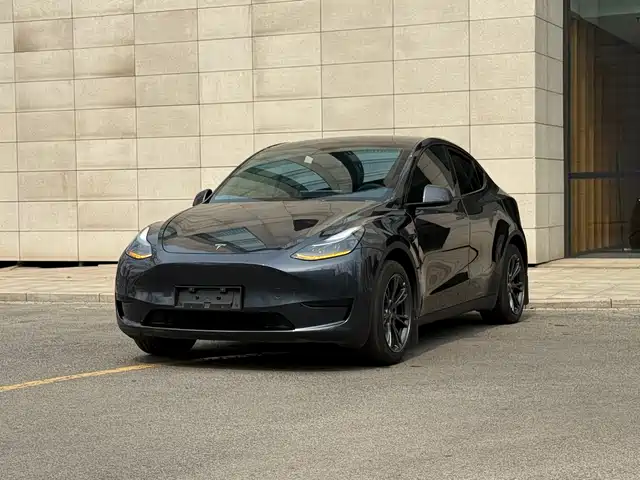 Tesla Model Y Model Y 2024 Rear-Wheel Drive Version — фото