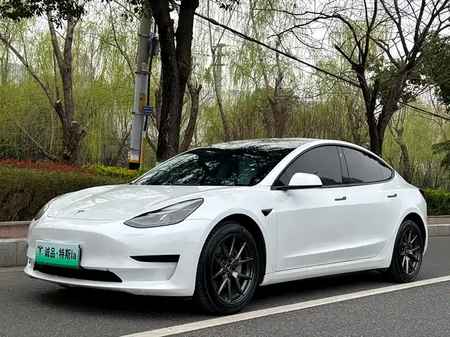 Tesla Model 3 Model 3 2022 Rear-Wheel Drive Version