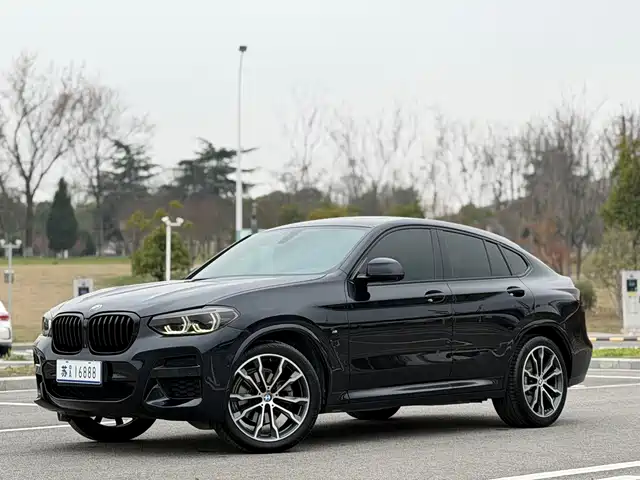Bmw Bmw X4 Bmw X4 2021 Xdrive 25i M Sports Night Package — фото