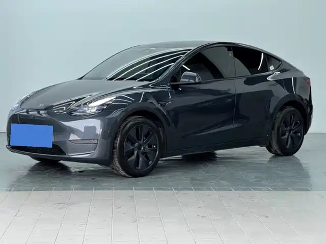 Tesla Model Y Model Y 2024 Long-Range All-Wheel Drive Version — фото