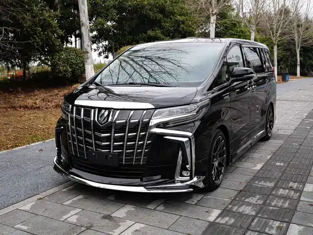 Toyota Elfa Alfa 2020 Shuangqing 2.5l Premium Edition — фото