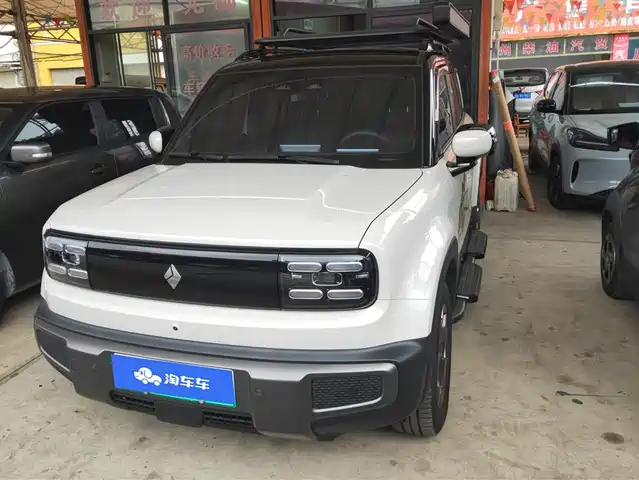 Baojun Baojun Yueye Plus Baojun Yueye Plus 2024 Zhizun Edition 4 Seats