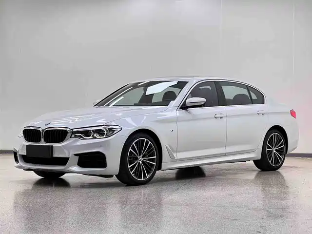 Bmw Bmw 5 Series Bmw 5 Series 2020 530li Leading M Sports Package — фото