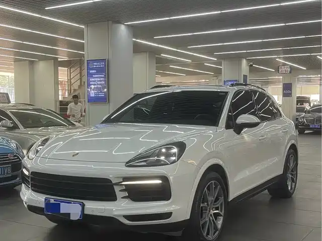 Porsche Cayenne Cayenne 2022 Cayenne 3.0t Platinum Edition — фото