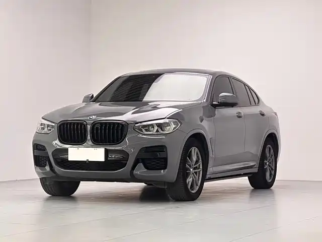 Bmw Bmw X4 Bmw X4 2020 Xdrive25i M Sports Package
