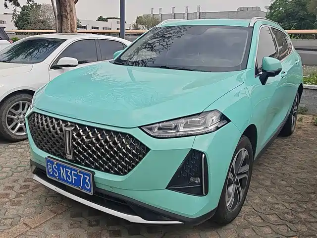 Wei Brand Macchiato Dht Macchiato Dht 2021 1.5l Dht Master Edition — фото