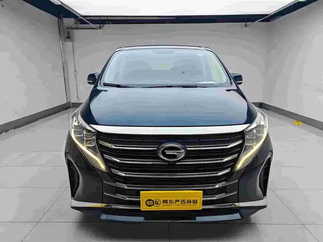 Gac Trumpchi Trumpchi M8 Trumpchi M8 2021 Lead Show Series 390t Exclusive Edition — фото