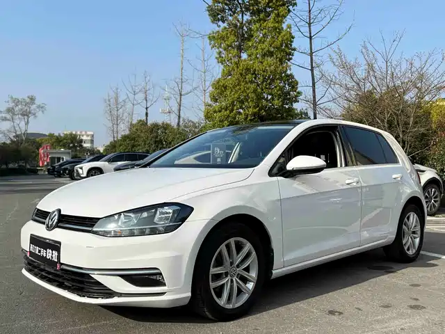 Volkswagen Golf Golf 2019 1.6l Automatic Comfort Model National V — фото