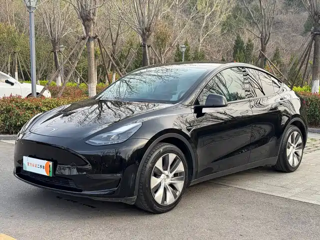 Tesla Model Y Model Y 2021 Standard Range Rear-Wheel Drive Version — фото