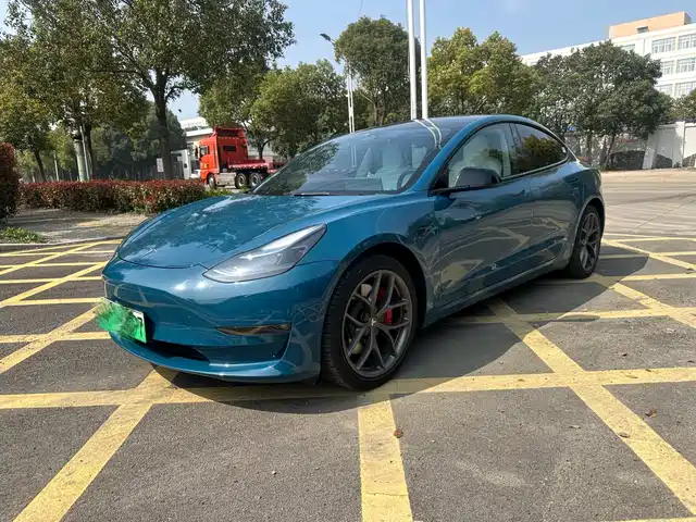 Tesla Model 3 Model 3 2022 Performance High-Performance All-Wheel Drive Version — фото