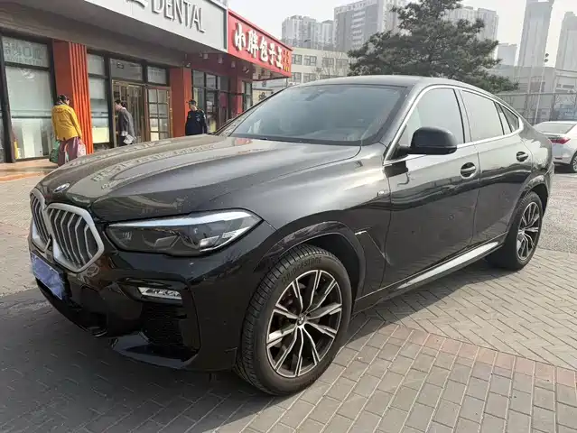 Bmw Bmw X6 Bmw X6 2020 Xdrive30i M Sports Package — фото