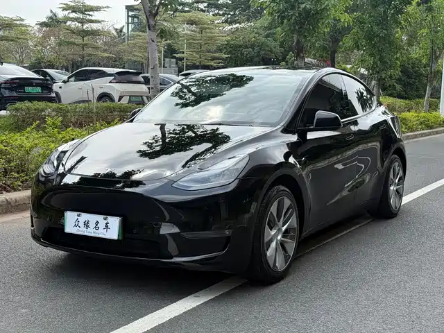 Tesla Model Y Model Y 2021 Standard Range Rear-Wheel Drive Version — фото