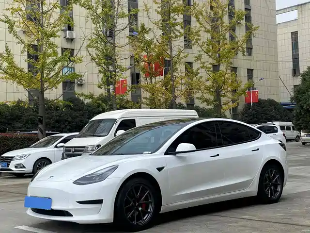 Tesla Model 3 Model 3 2021 Standard Range Rear Drive Upgraded Version 3d6 — фото