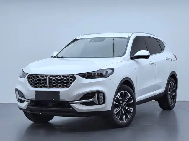 Wei Brand Wei Brand Vv6 Wei Brand Vv6 2020 2.0t Four-Wheel Drive Zhiyu+ — фото