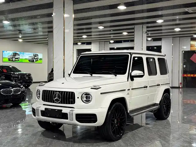 Mercedes-Benz Mercedes Benz G Class Mercedes-Benz G-Class 2020 G 500 — фото