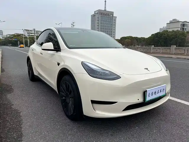 Tesla Model Y Model Y 2022 Facelift Rear-Wheel Drive Version — фото
