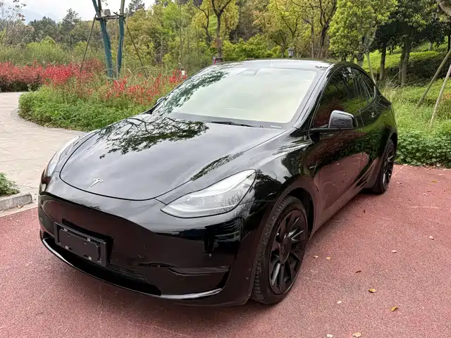 Tesla Model Y Model Y 2021 Standard Range Rear-Wheel Drive Version — фото