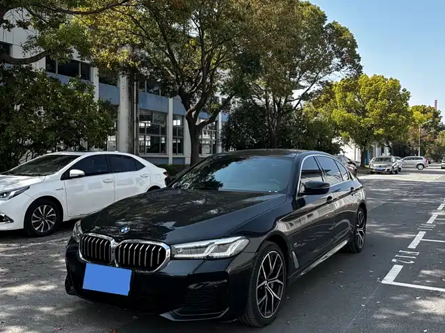 Bmw Bmw 5 Series Bmw 530li/2.0t/24 Models/Exclusive Luxury Package — фото