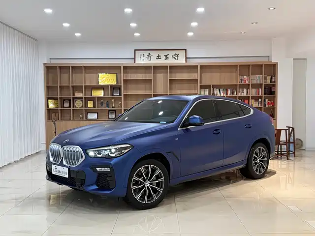 Bmw Bmw X6 Bmw X6 2020 Xdrive30i M Sports Package