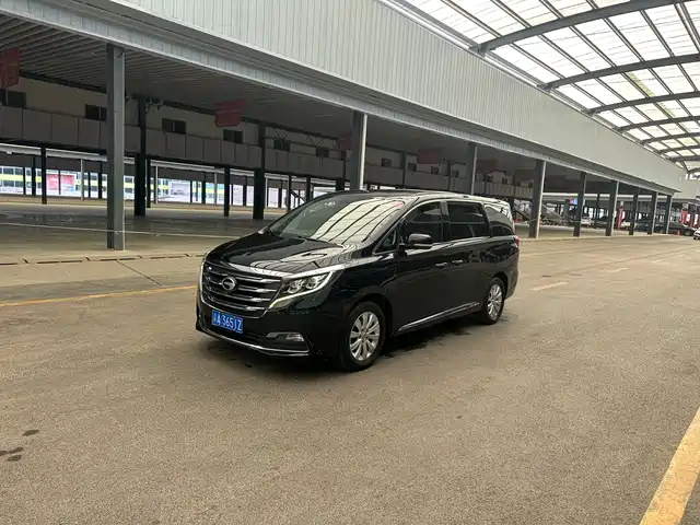 Gac Trumpchi Trumpchi M8 Trumpchi M8 2018 320t Exclusive Edition — фото