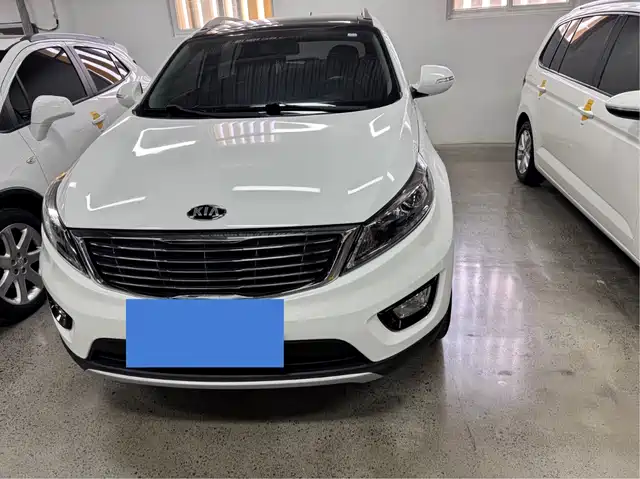 Kia Smart Running Zhipao 2016 2.0l Automatic Two-Wheel Drive Version Dlx