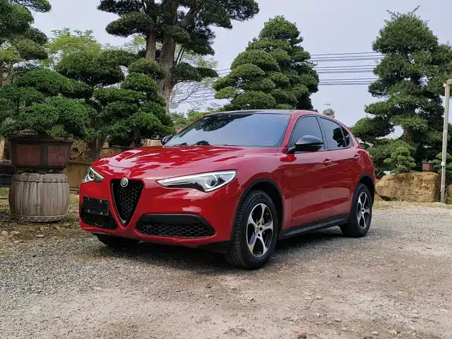 Alfa Romeo Stelvio Stelvio 2017 2.0t 200hp Elite Edition — фото