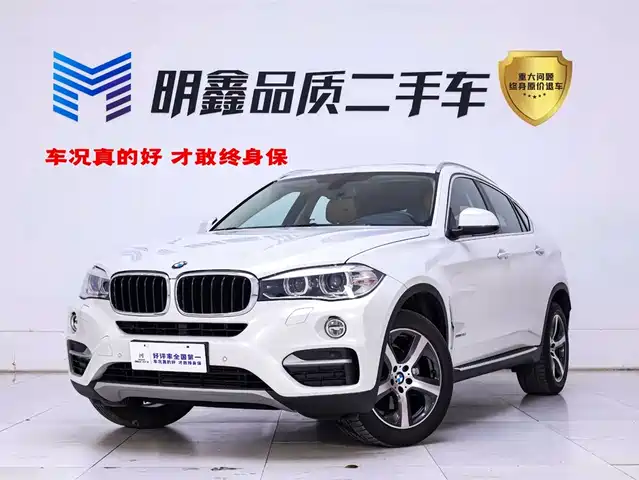 Bmw Bmw X6 Bmw X6 2015 Xdrive35i Leading Model — фото