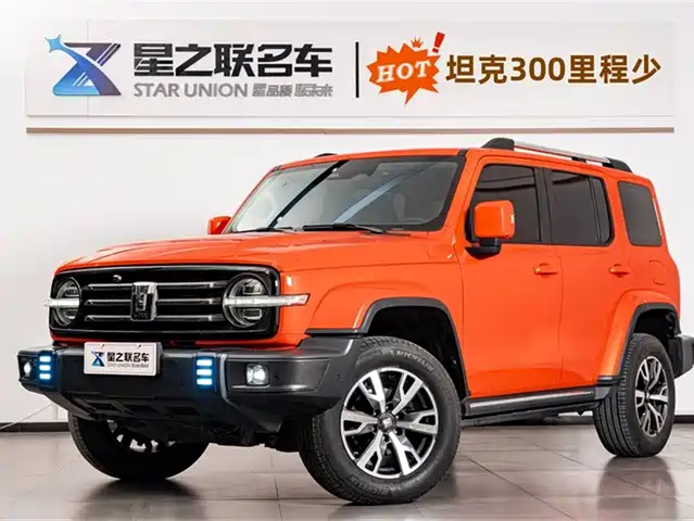 Tank Tank 300 Tank 300 2021 City Edition 2.0t Very Stylish — фото