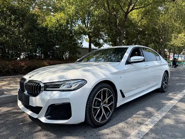 Bmw Bmw 5 Series Bmw 5 Series 2019 530li Leading M Sports Package — фото