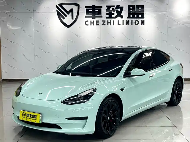 Tesla Model 3 Model 3 2021 Standard Range Rear Drive Upgraded Version — фото